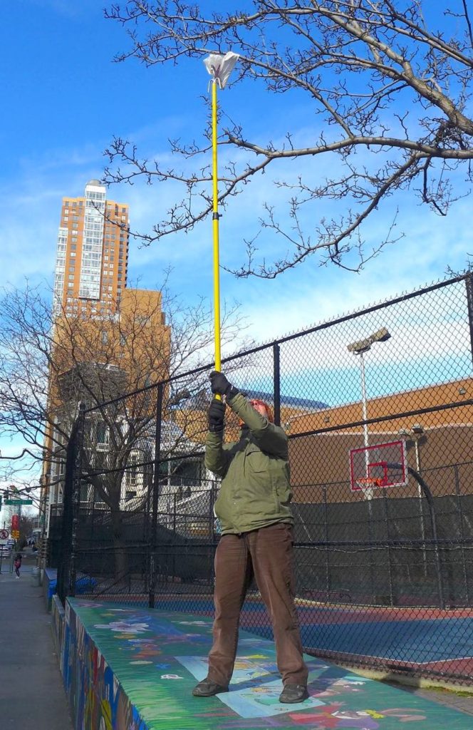 Komanoff bag-snagging in Tribeca.